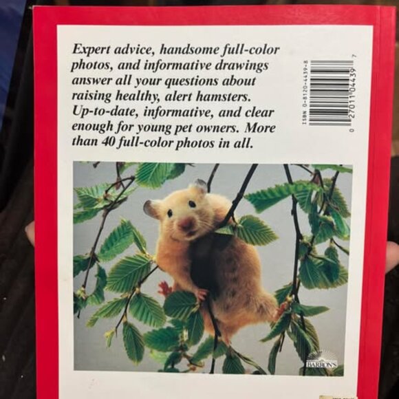 Hamsters: How To Take Care Of Them & Understand Them - Picture 2 of 2